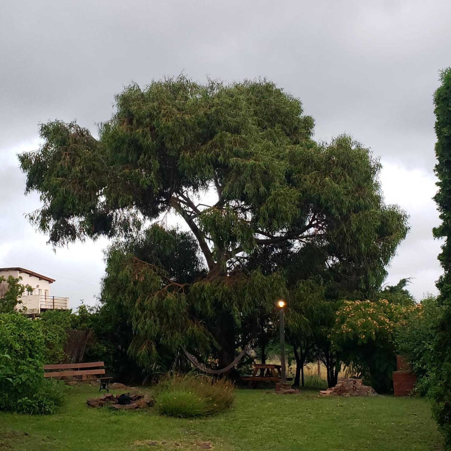 Casa Bordo, B & B Tandil Dış mekan fotoğraf